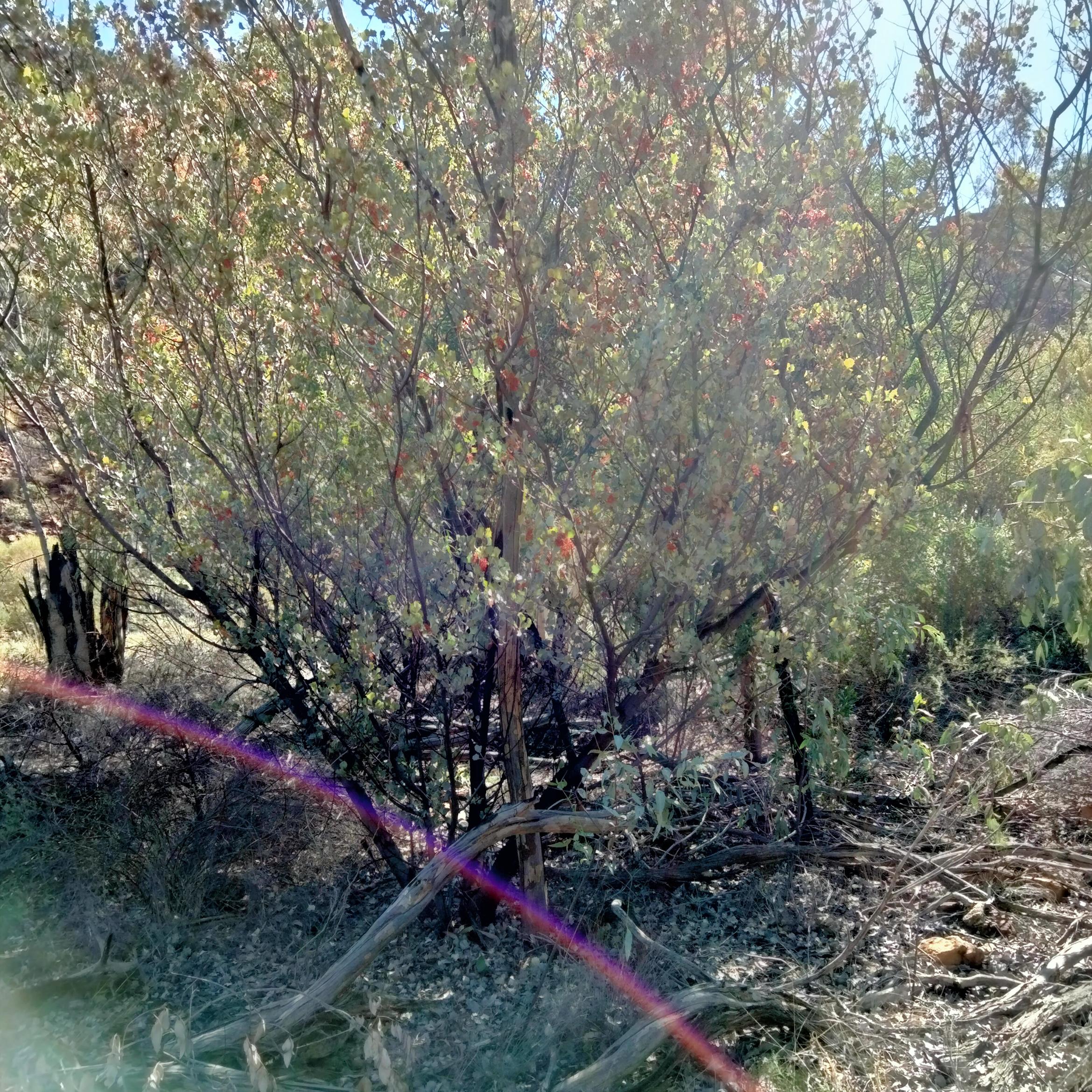 Image for 