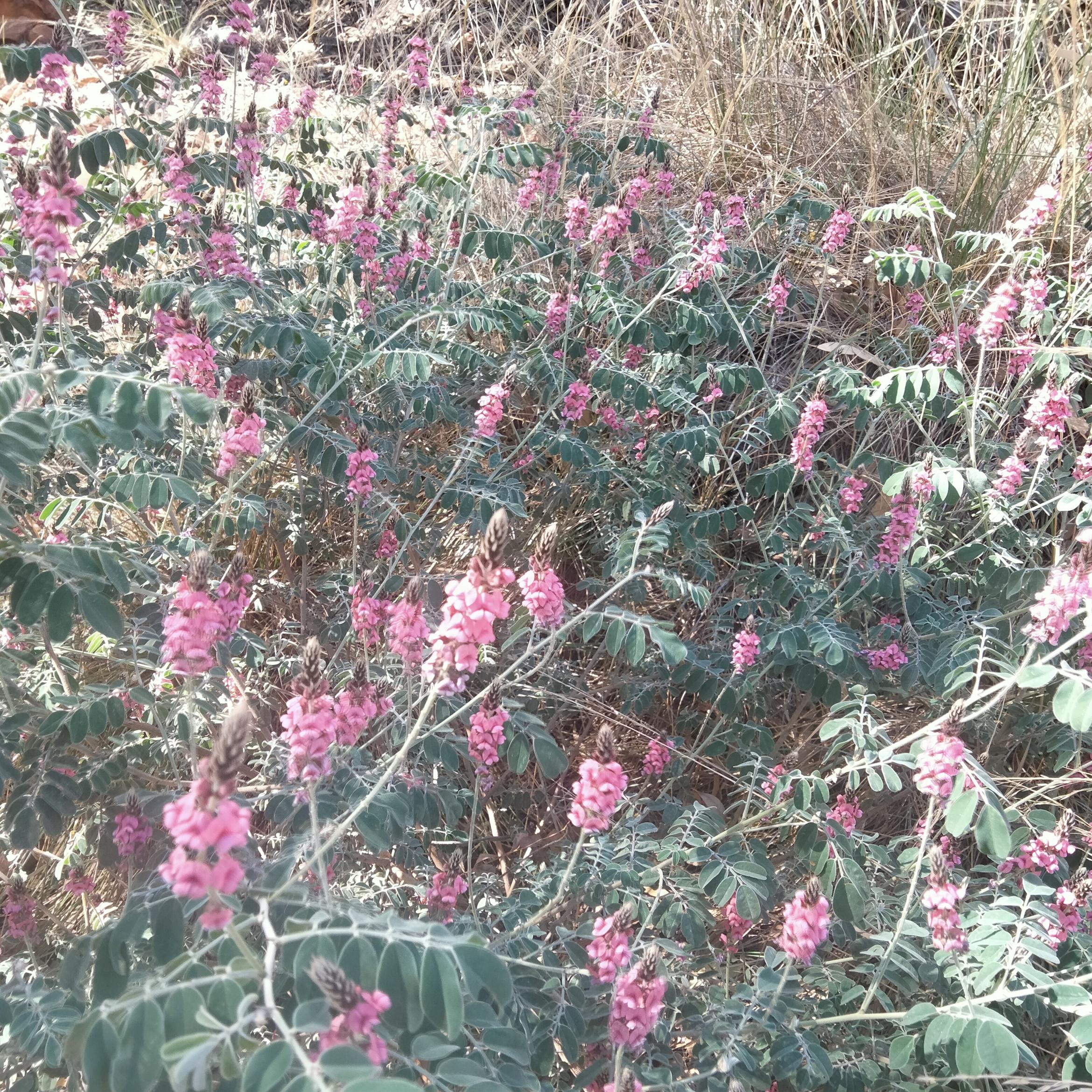 Image for 