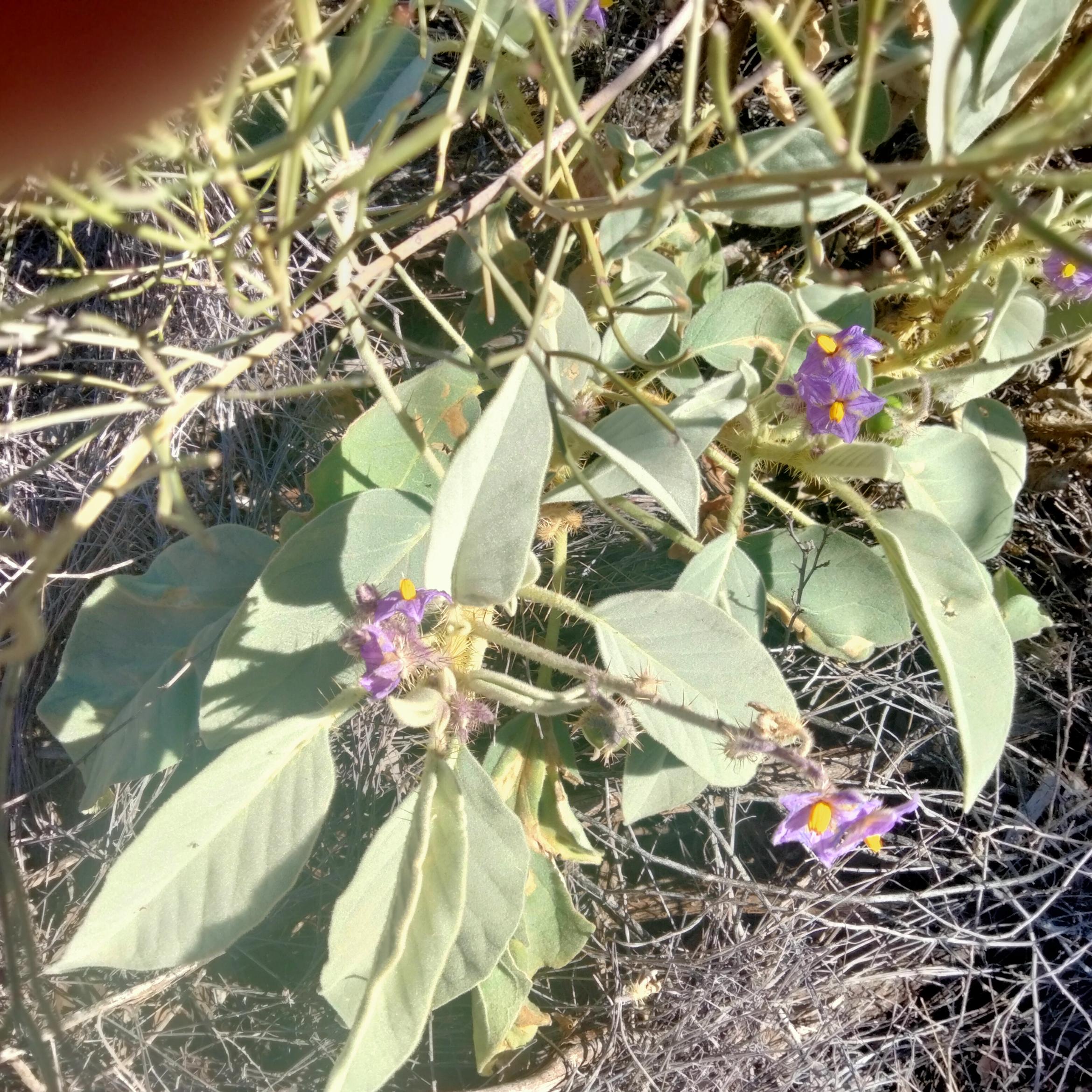 Image for 