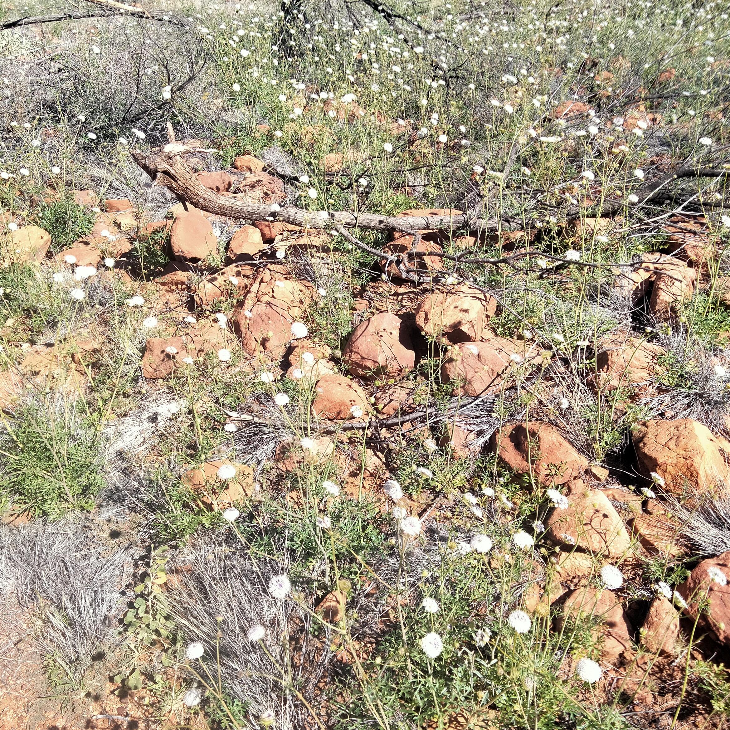 Image for 