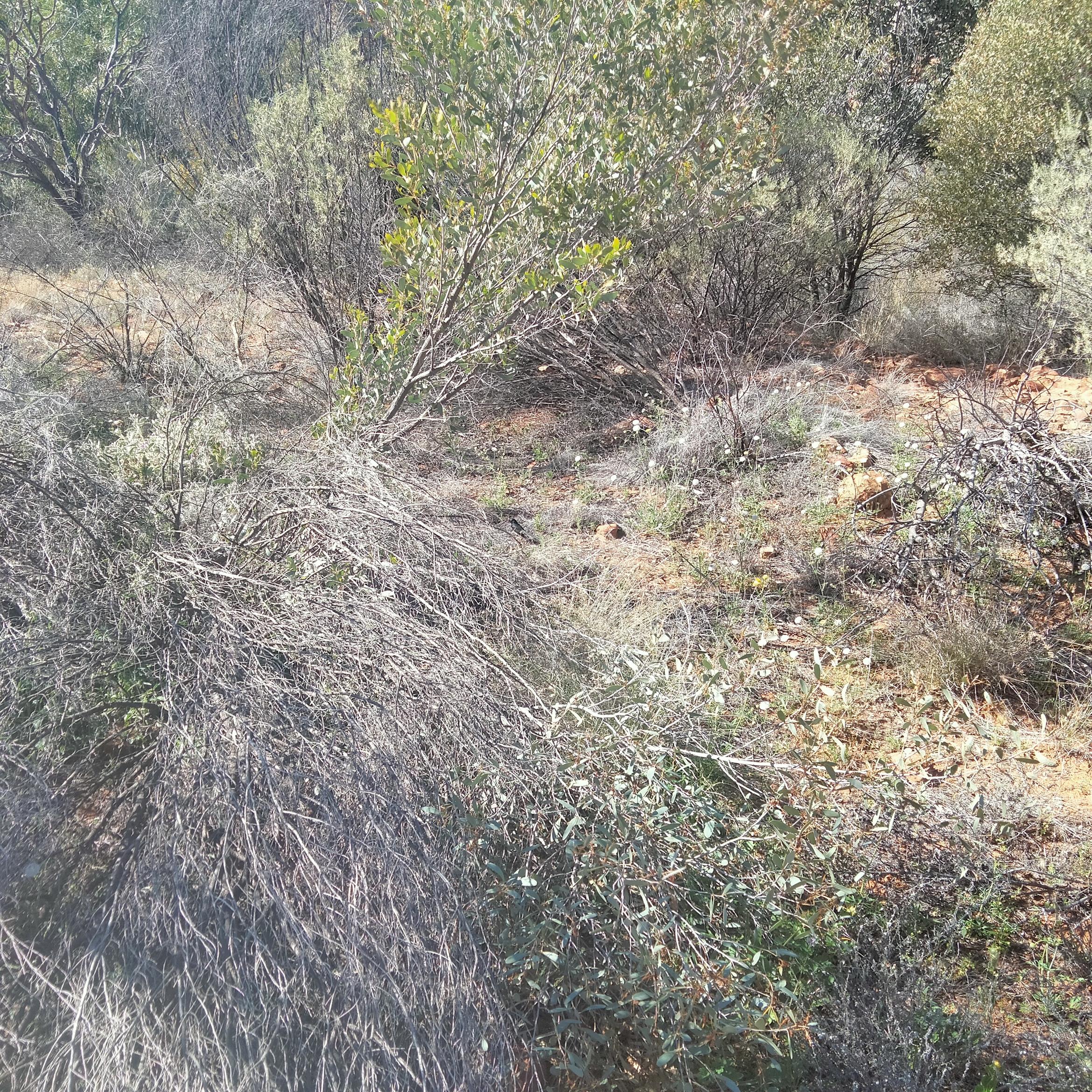 Image for 