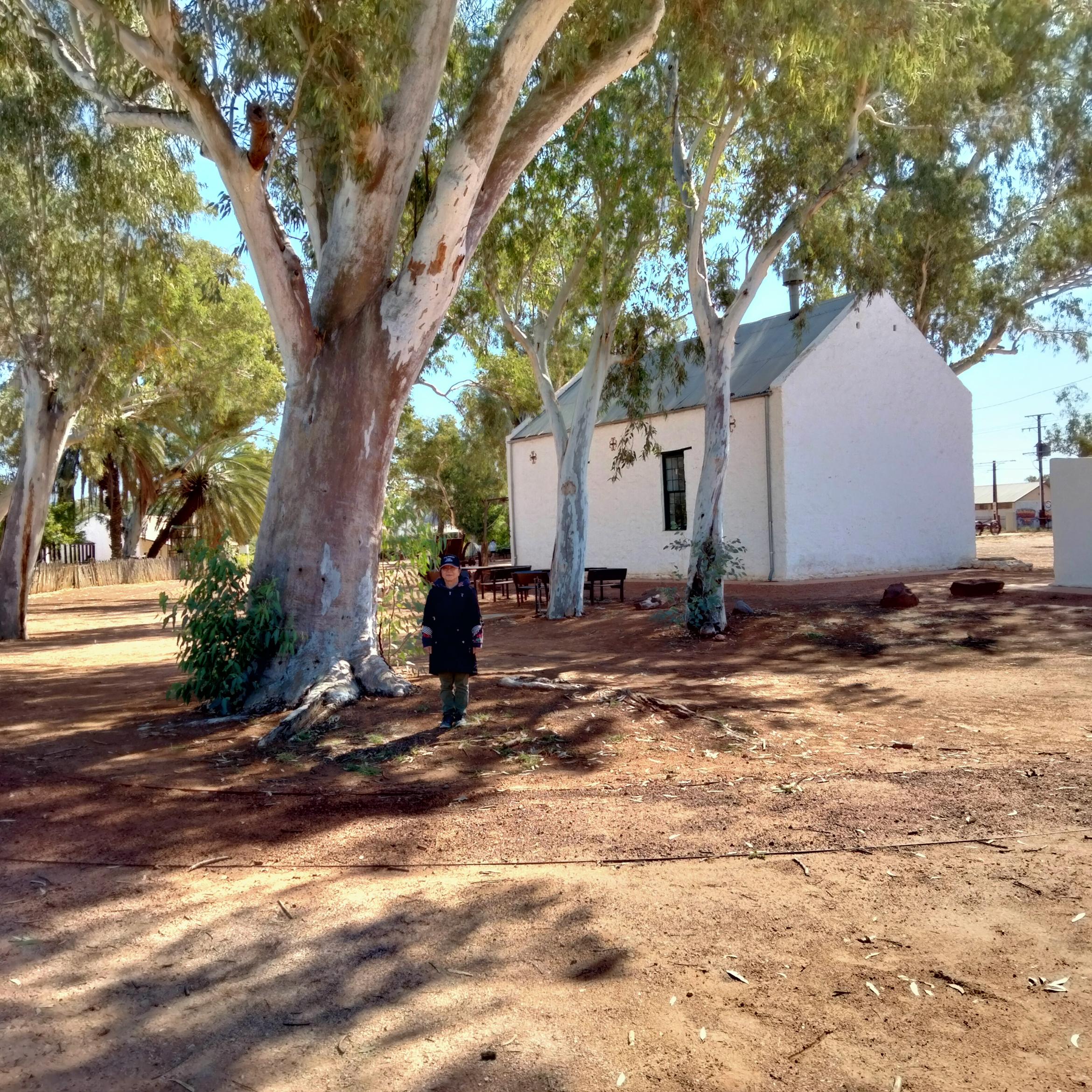Image for 