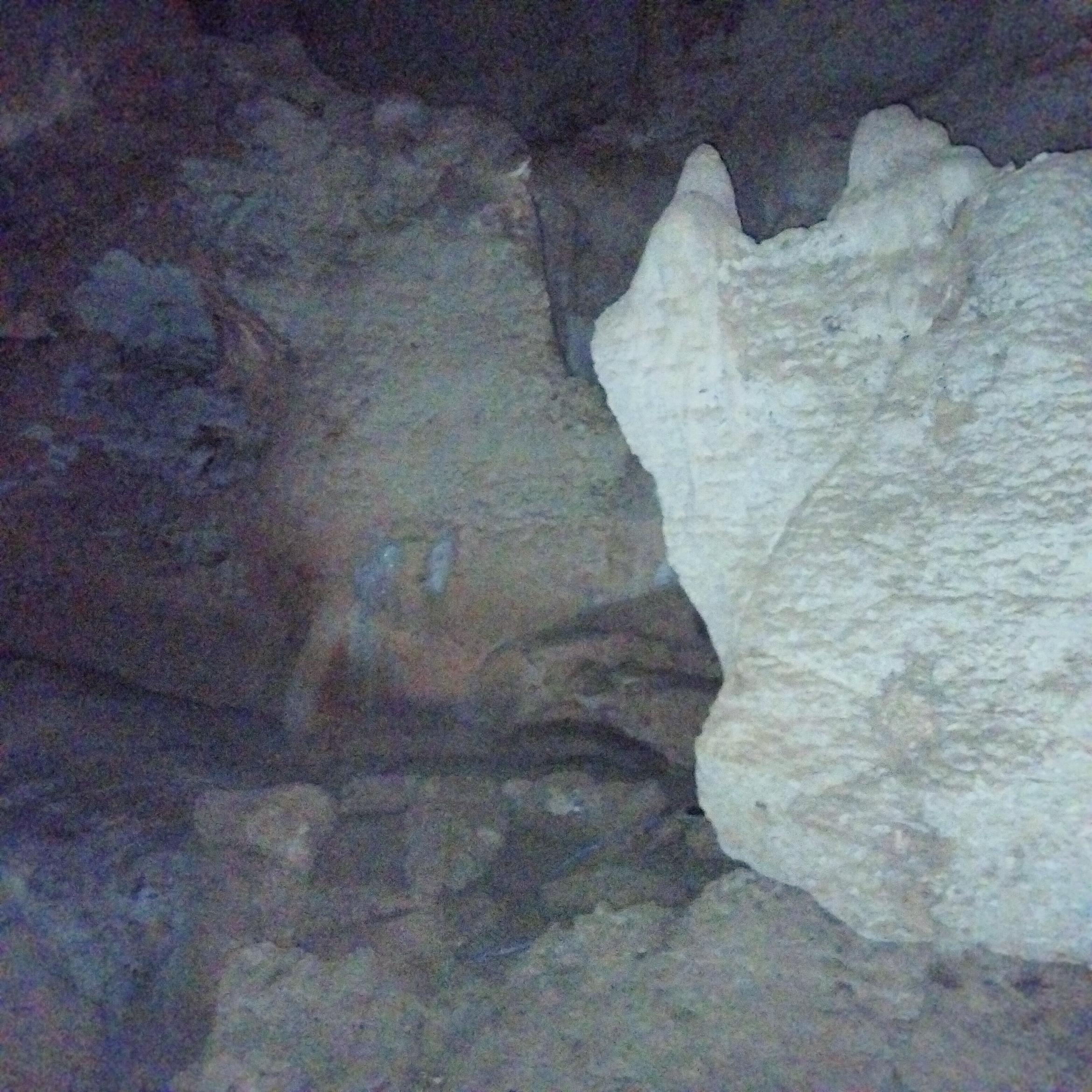 Image for 