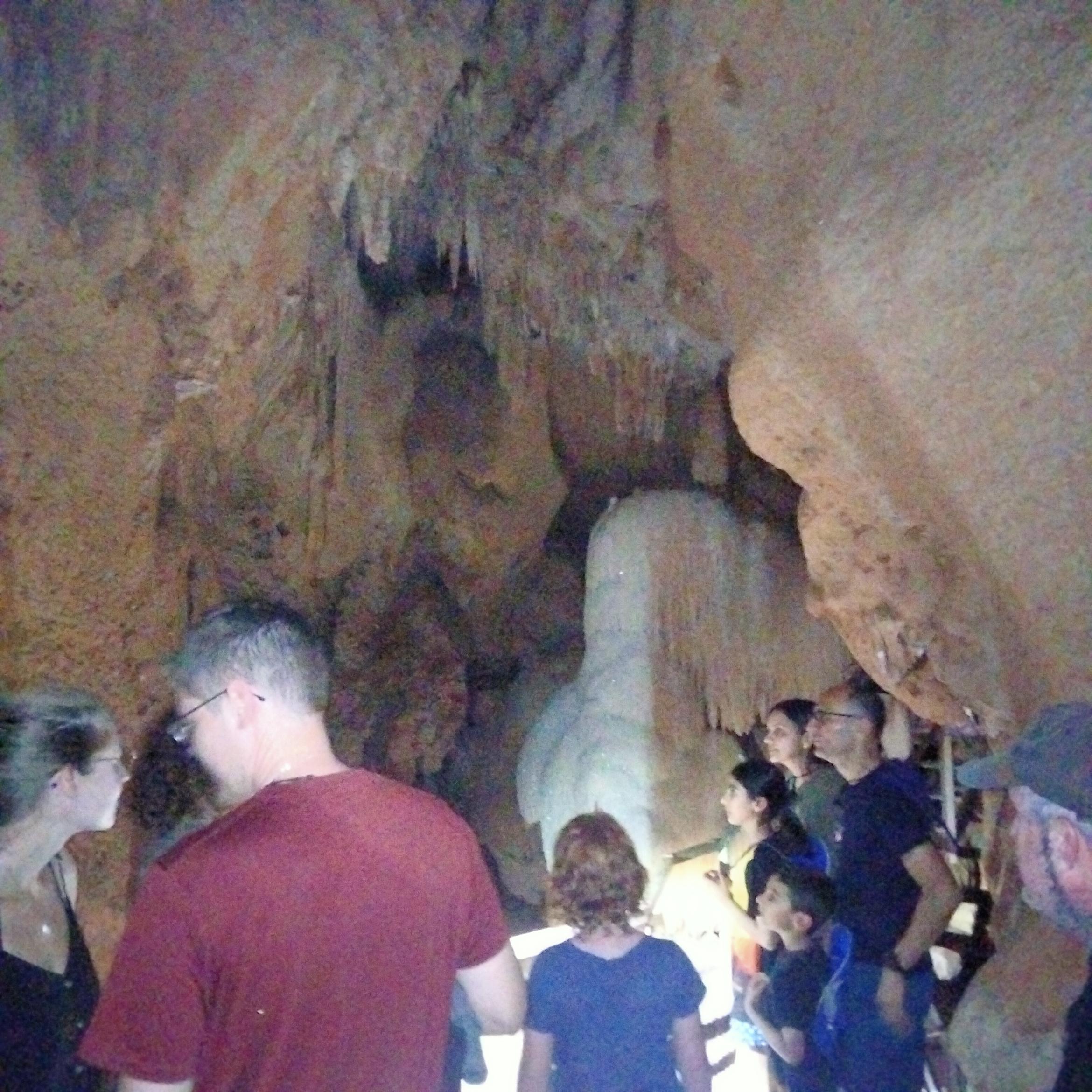 Image for 
