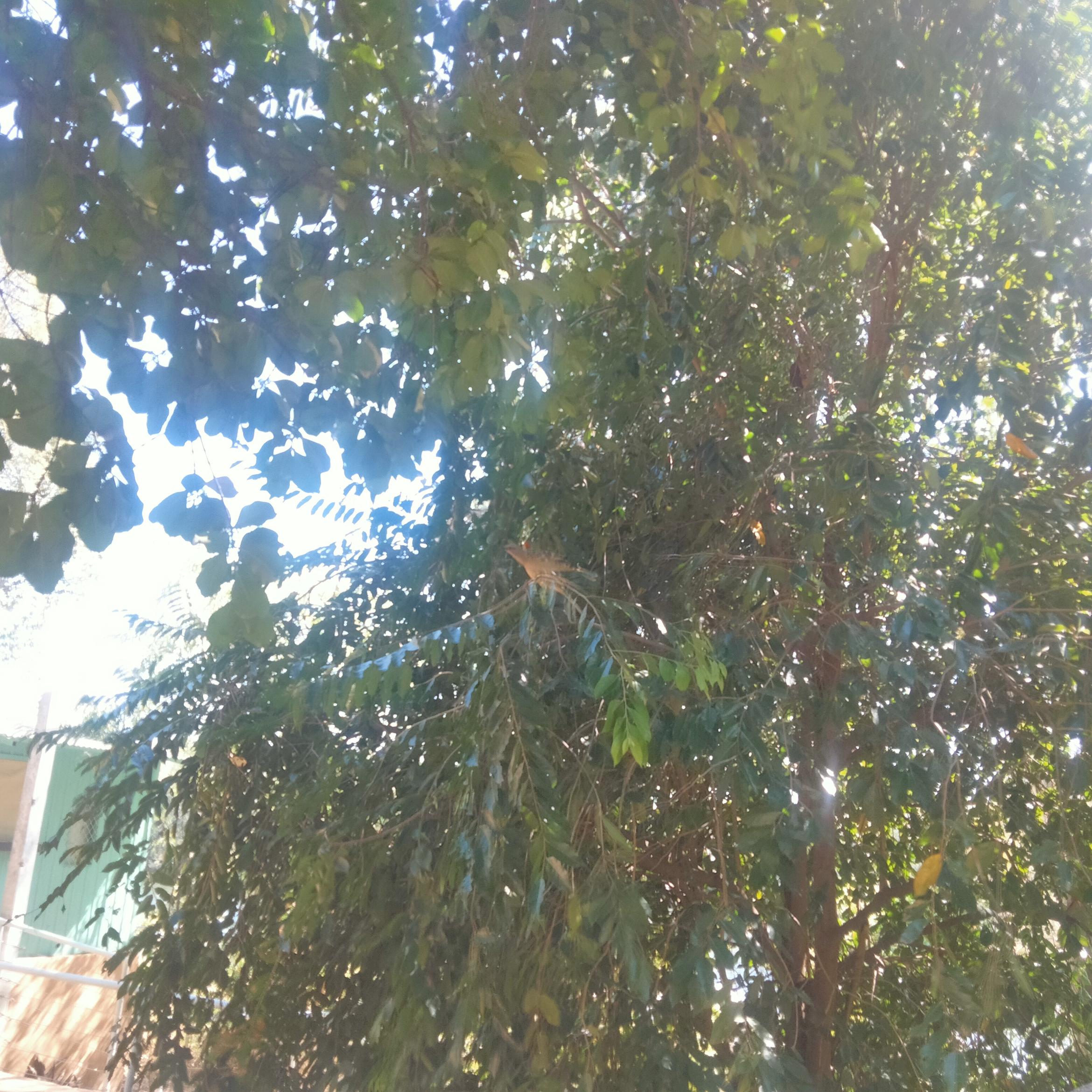 Image for 