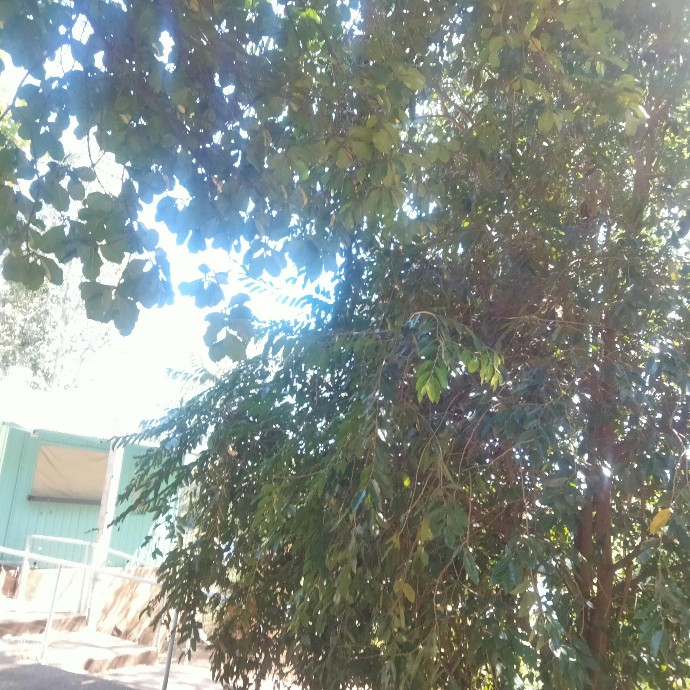 Image for 