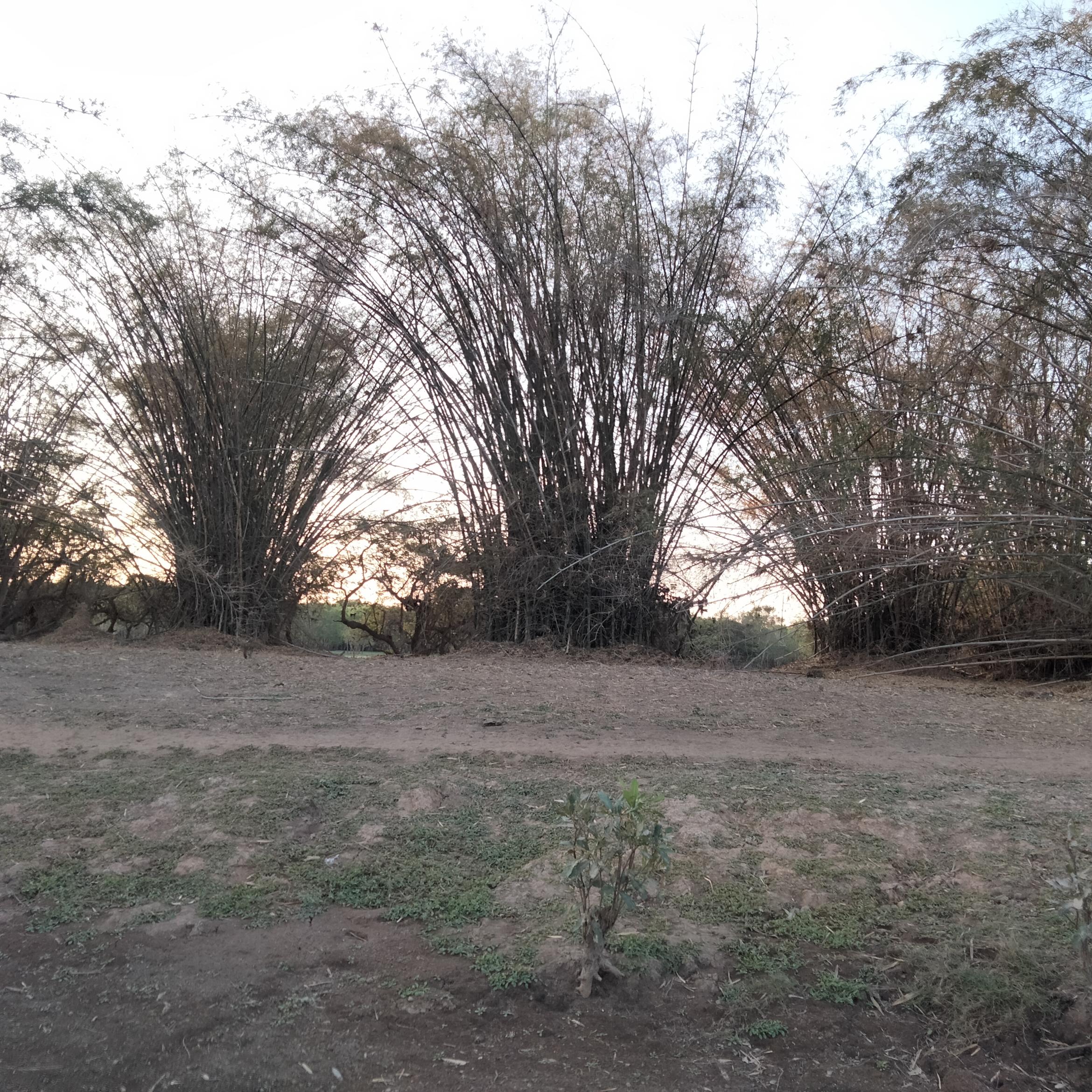 Image for 