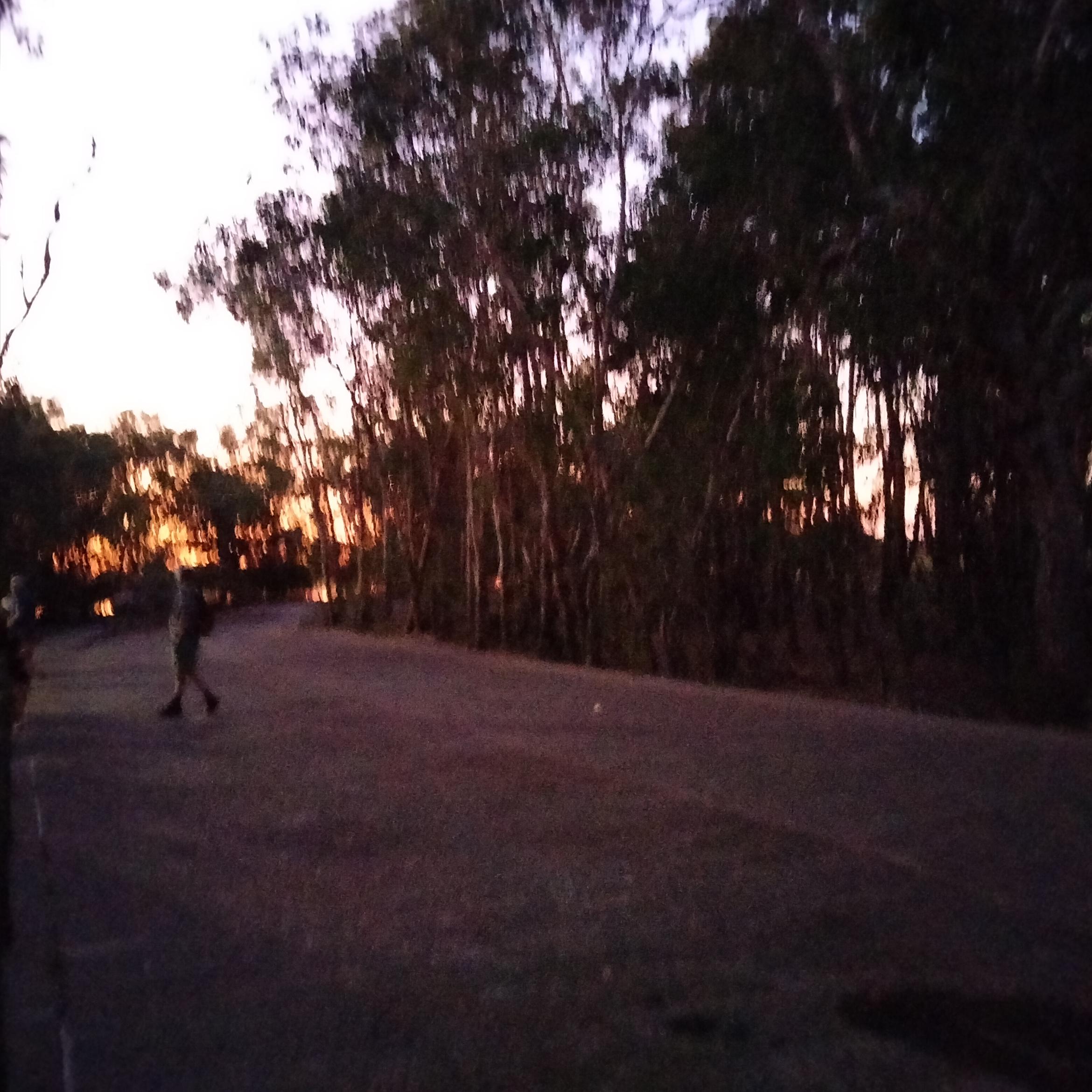 Image for 