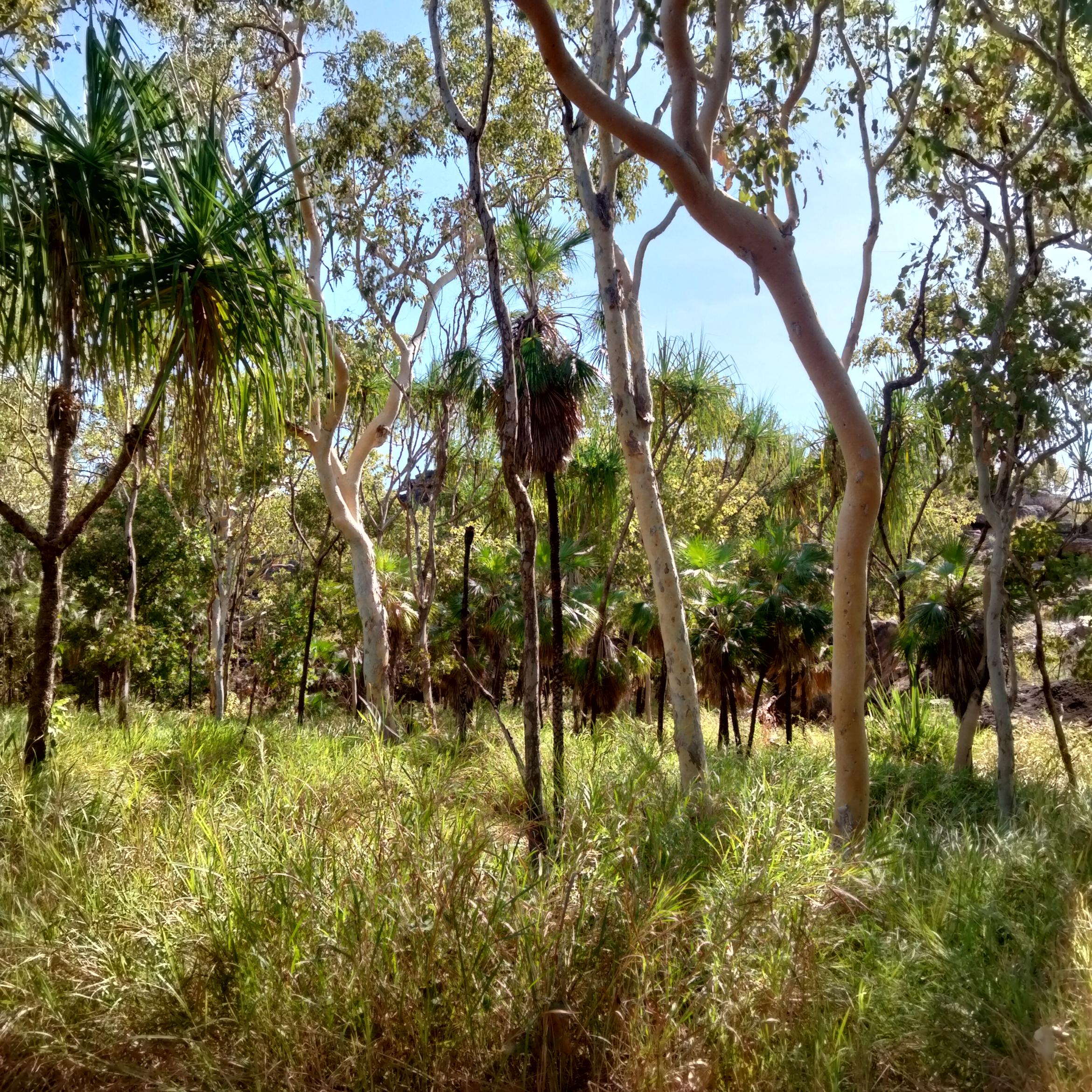 Image for 