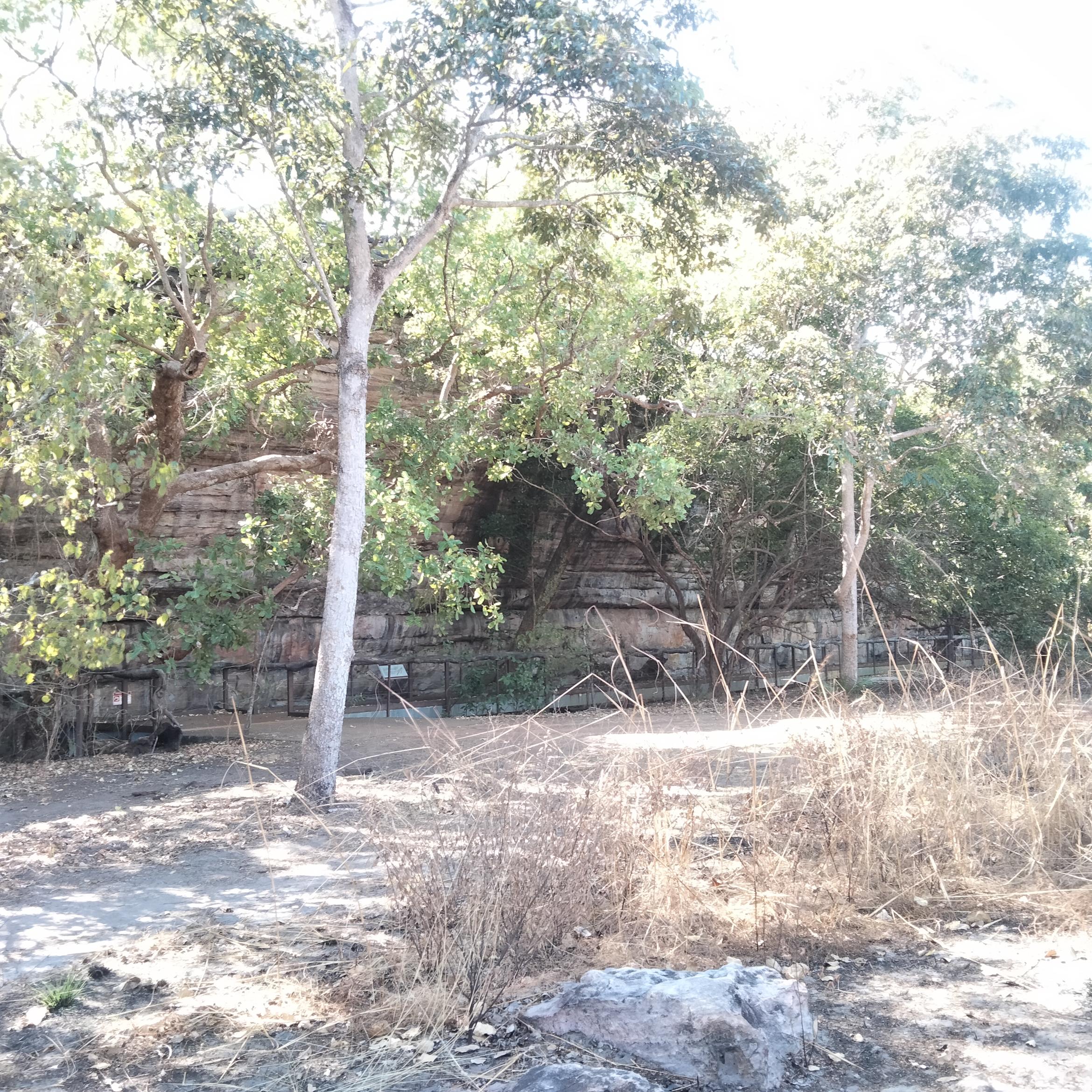 Image for 