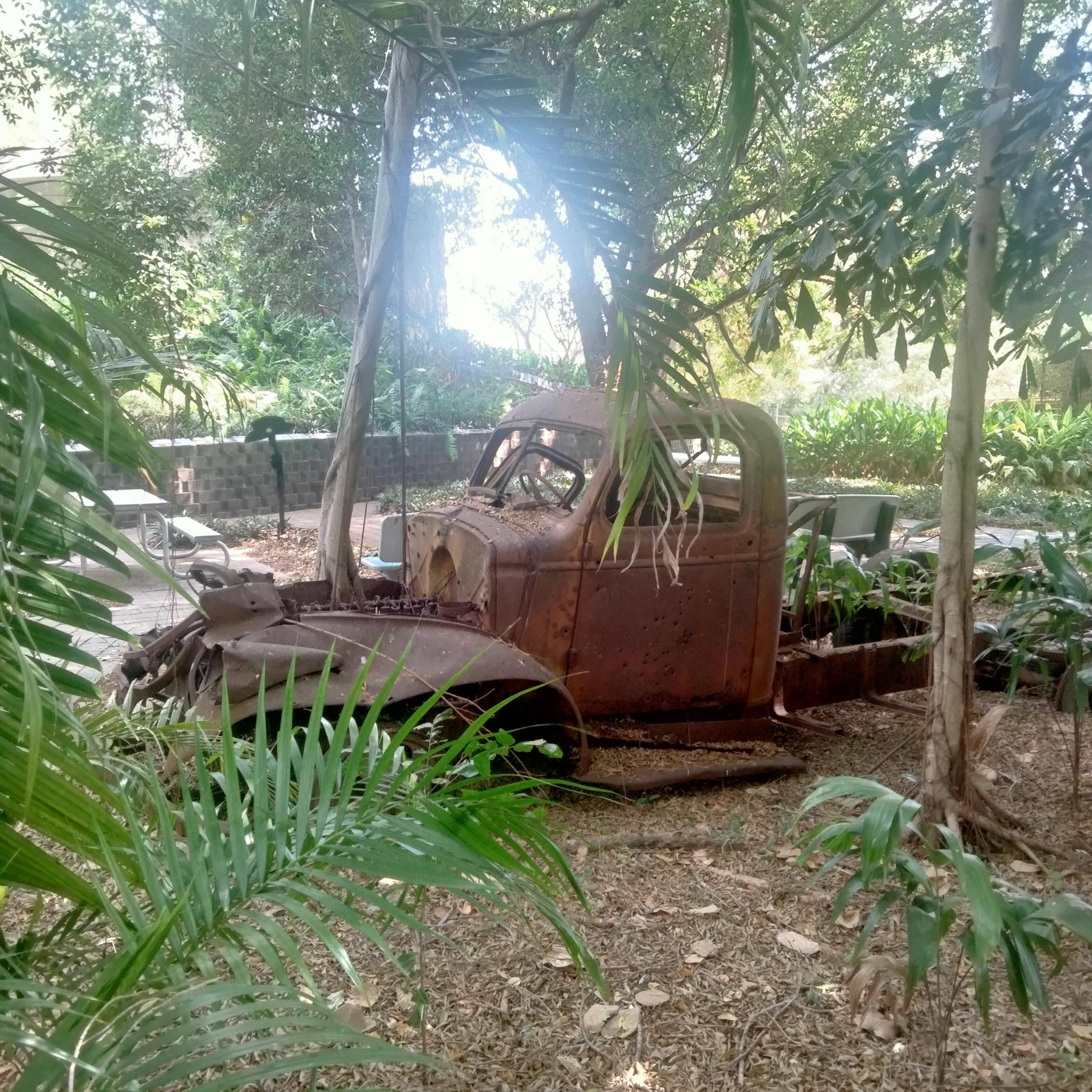 Image for 