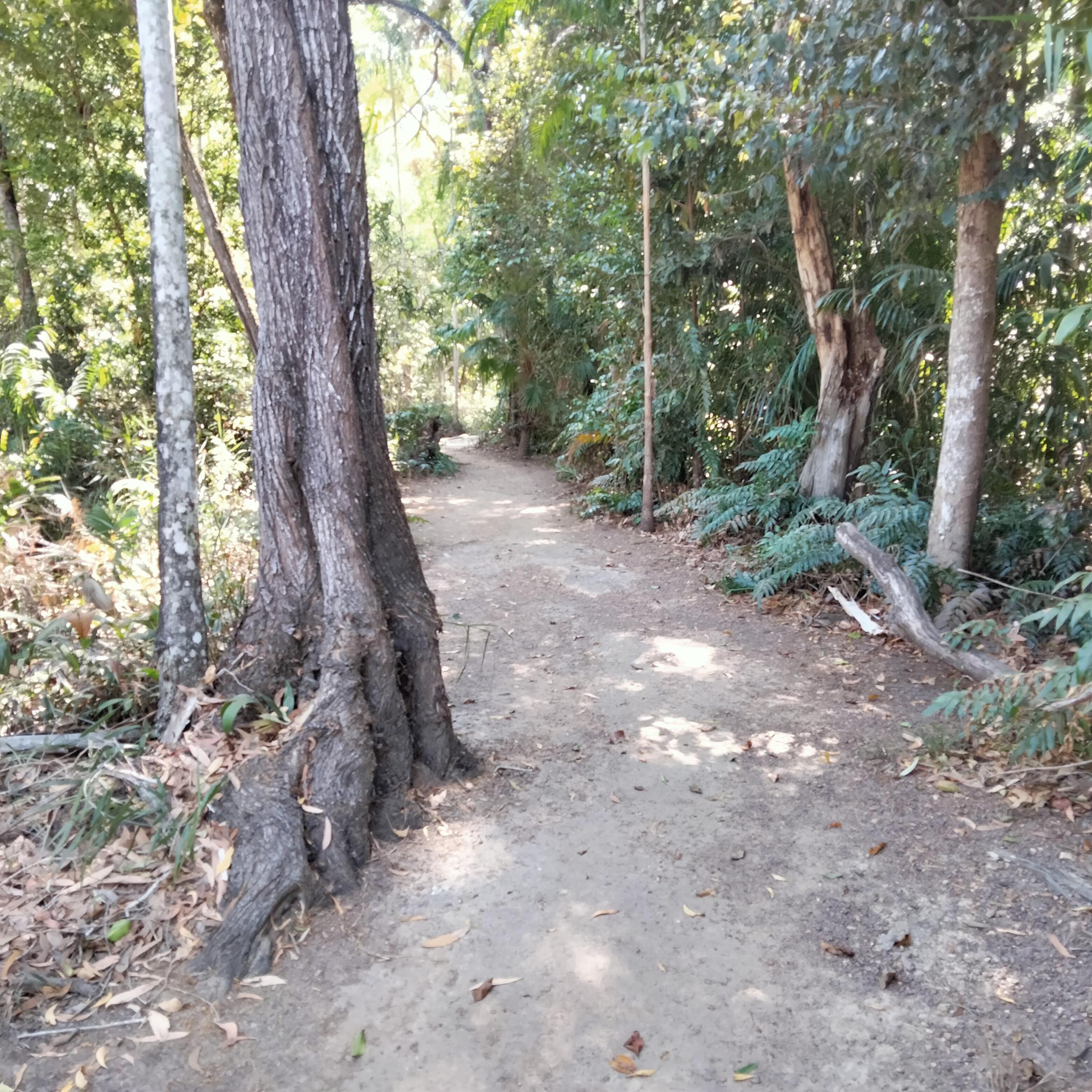 Image for 