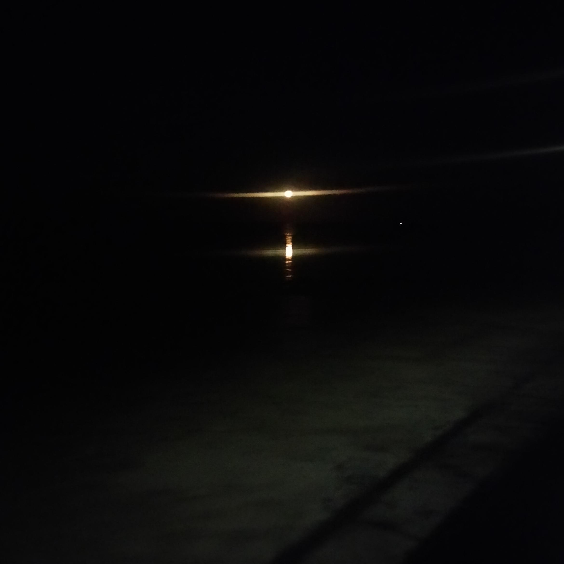 Image for 