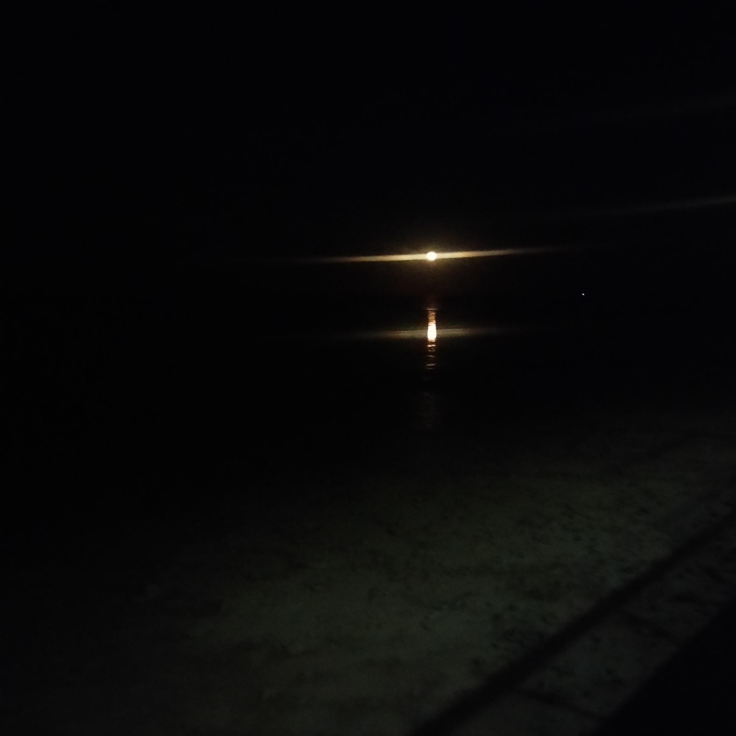 Image for 