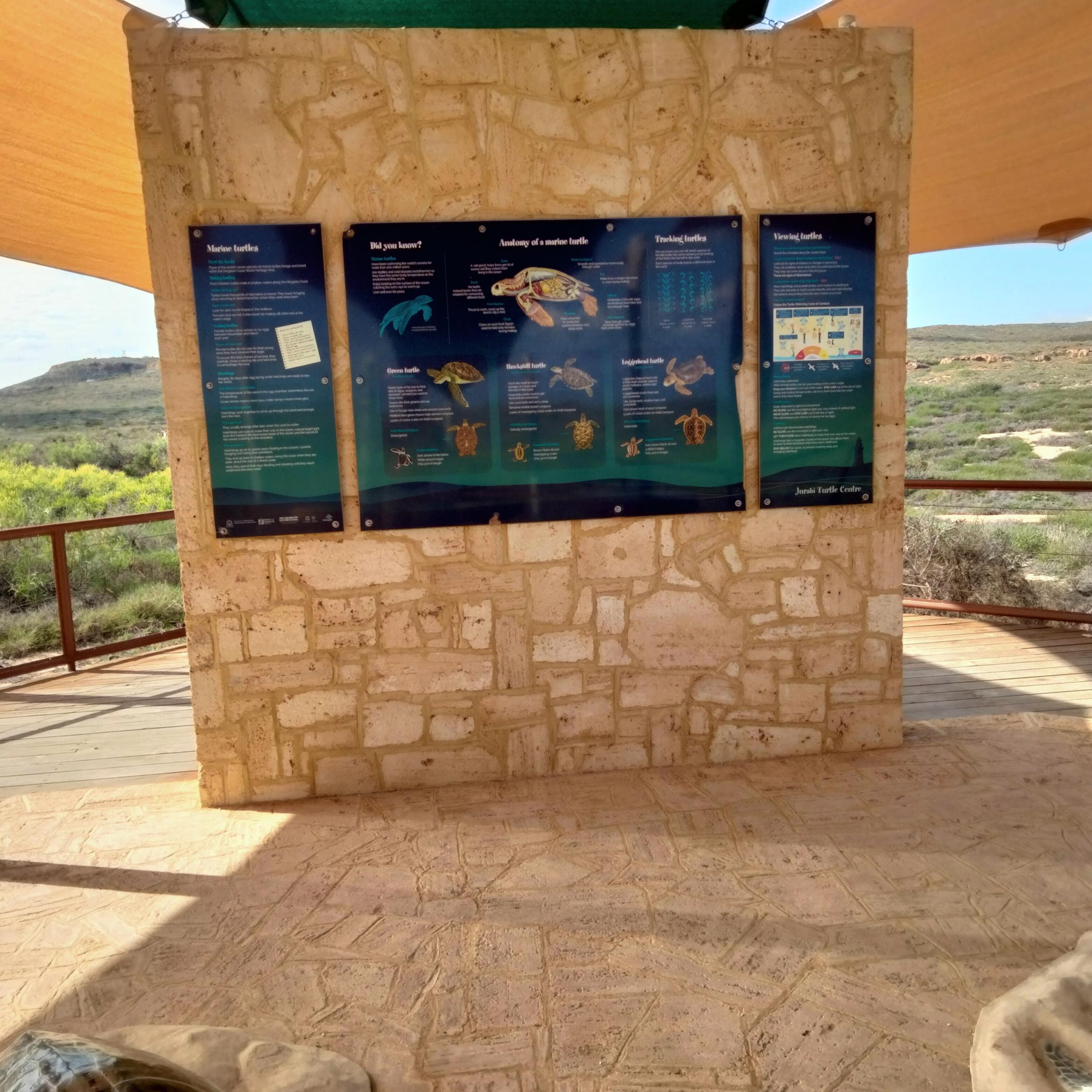 Image for 