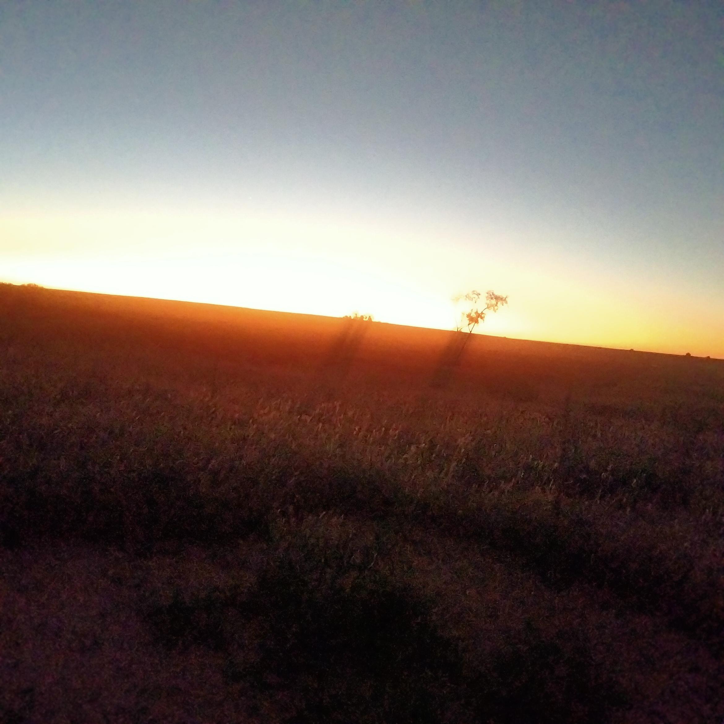 Image for 