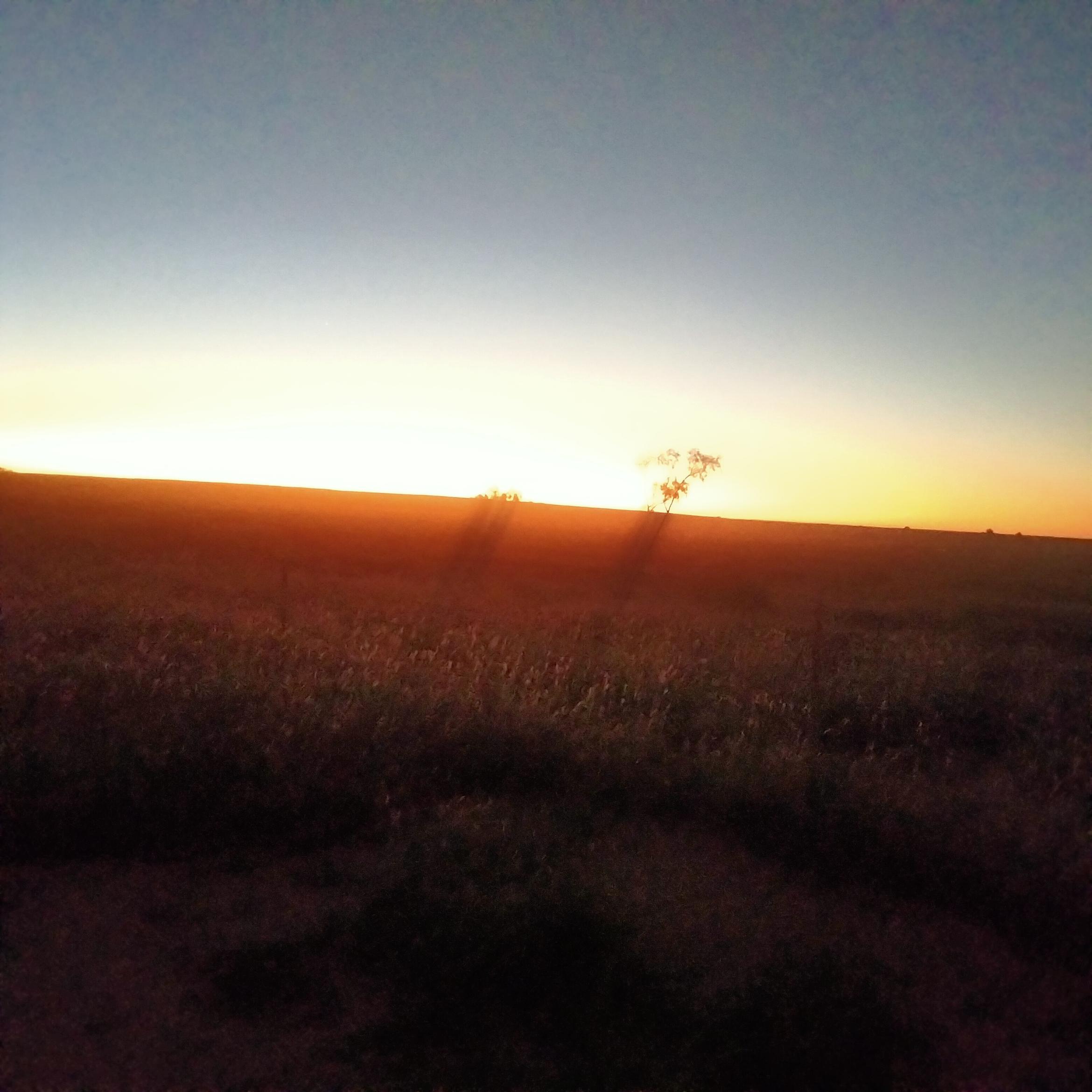 Image for 