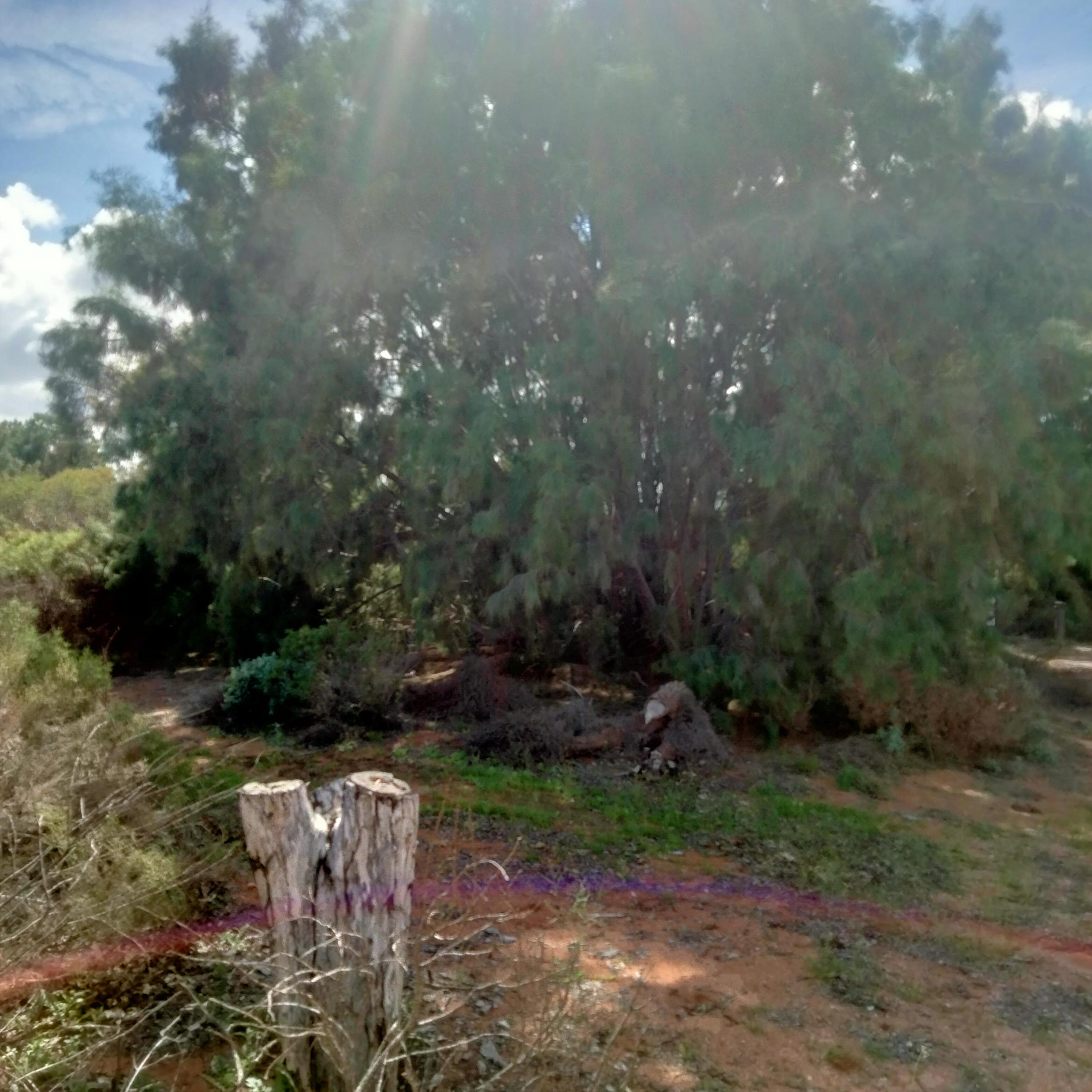 Image for 