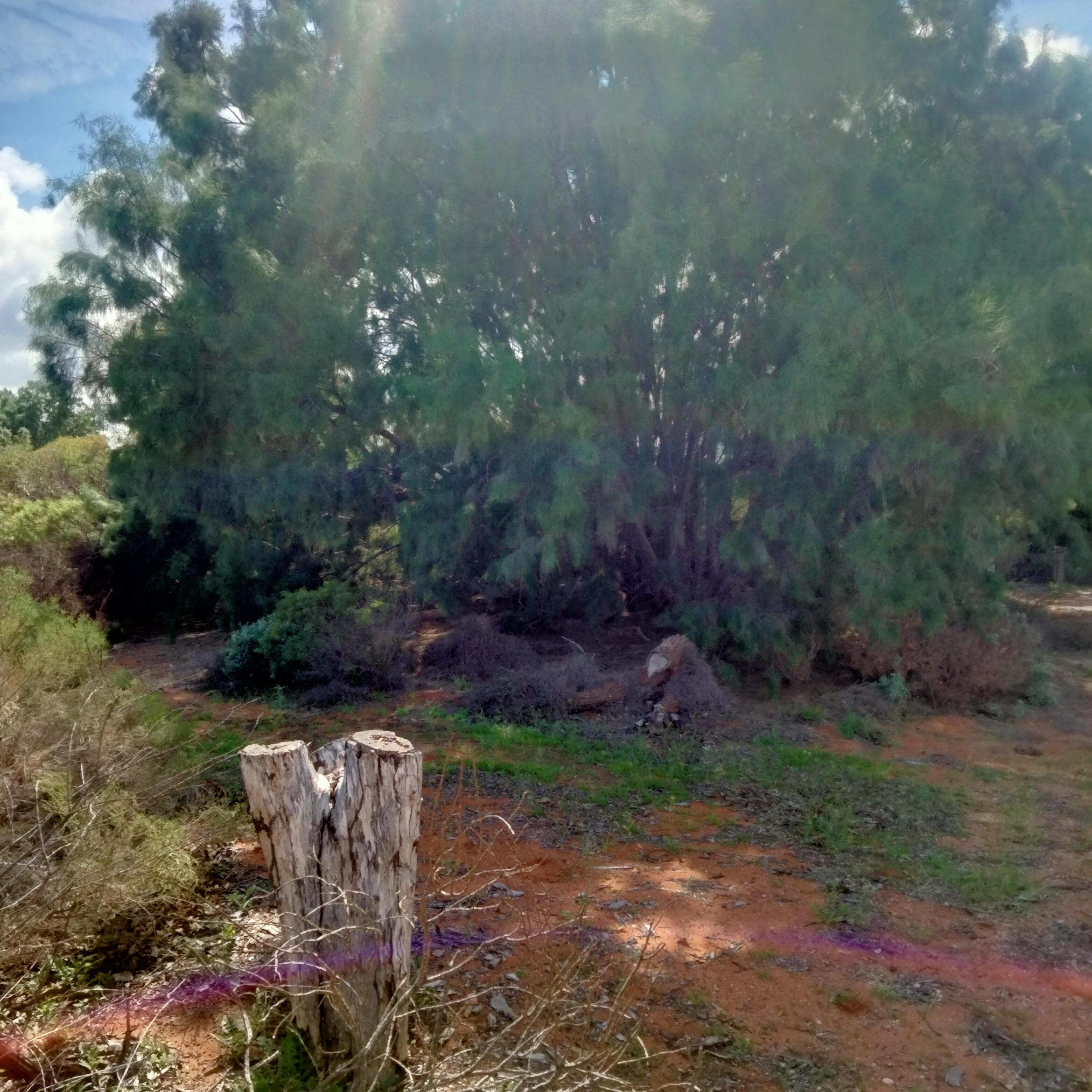 Image for 