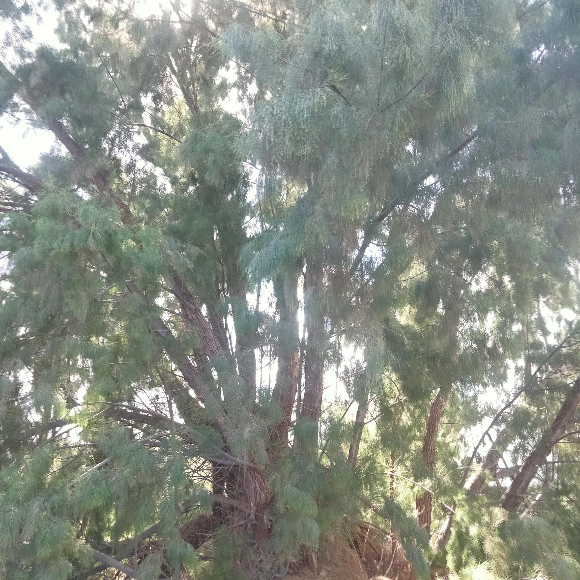 Image for 