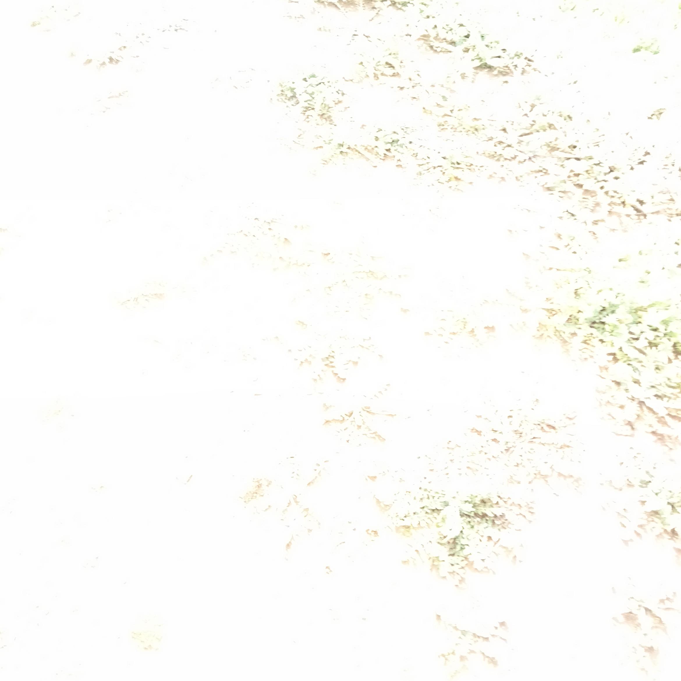 Image for 