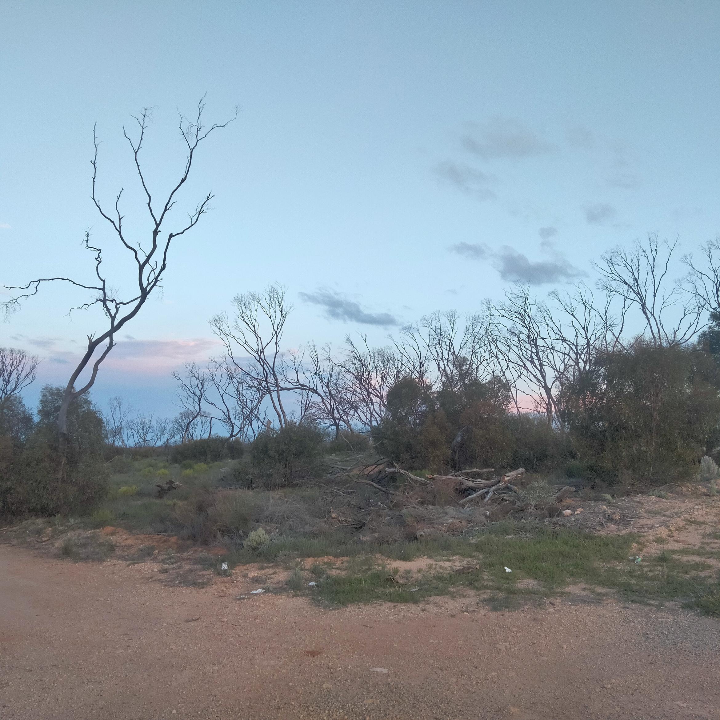 Image for 
