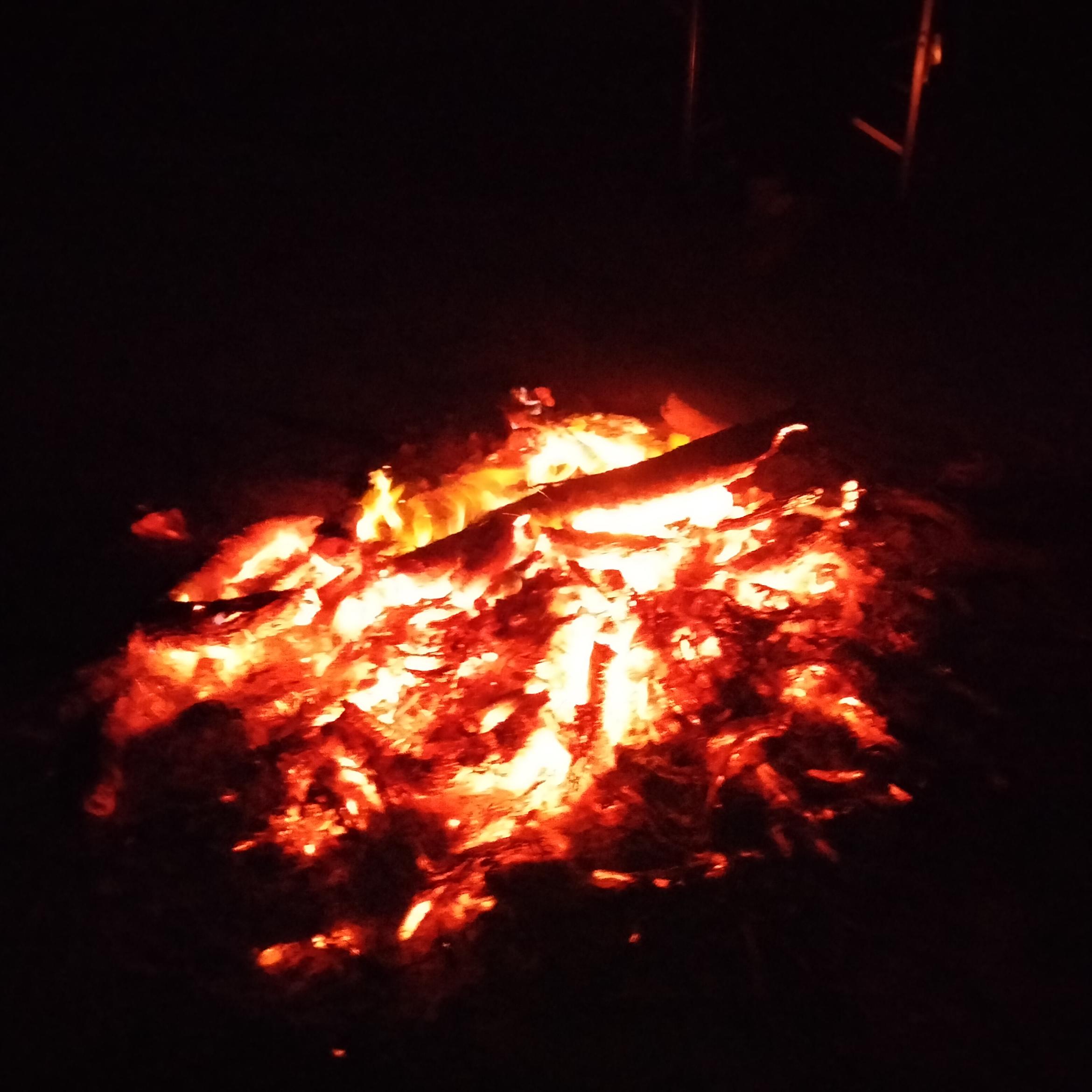 Image for 