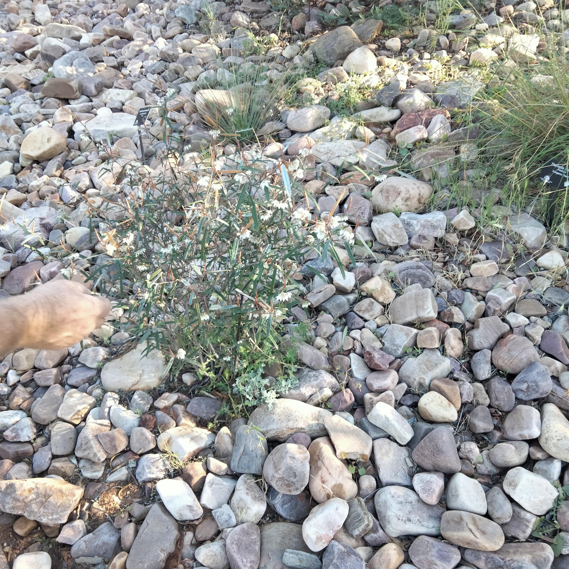 Image for 