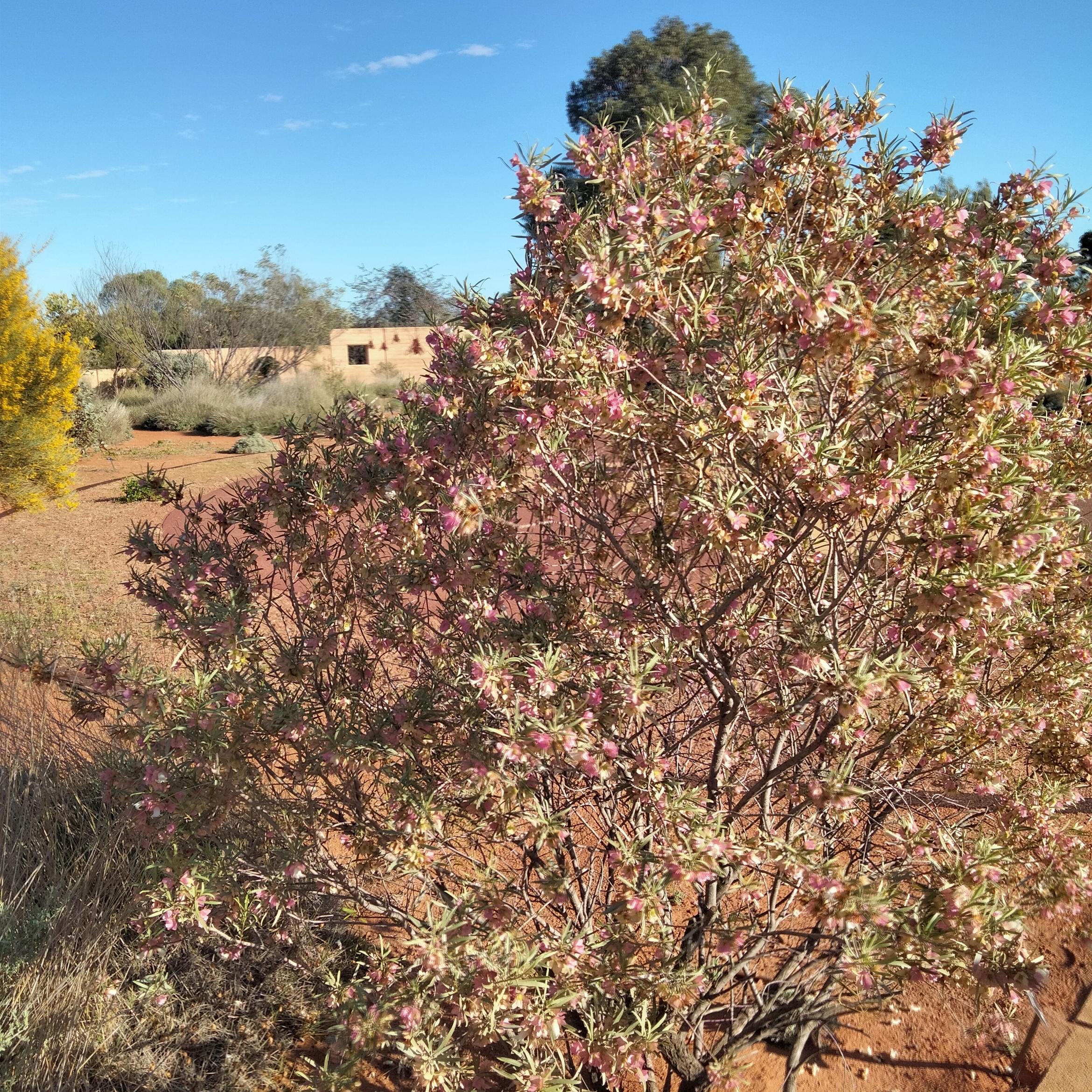 Image for 
