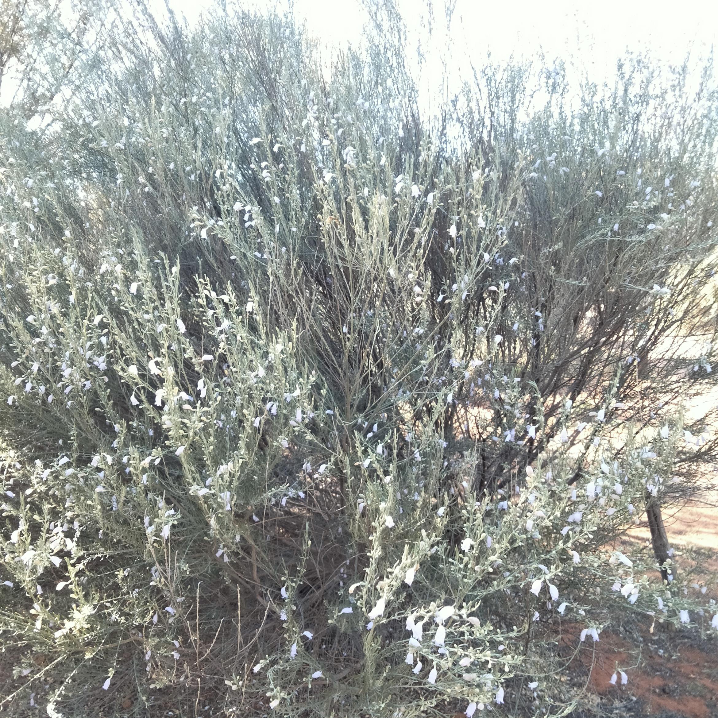 Image for 
